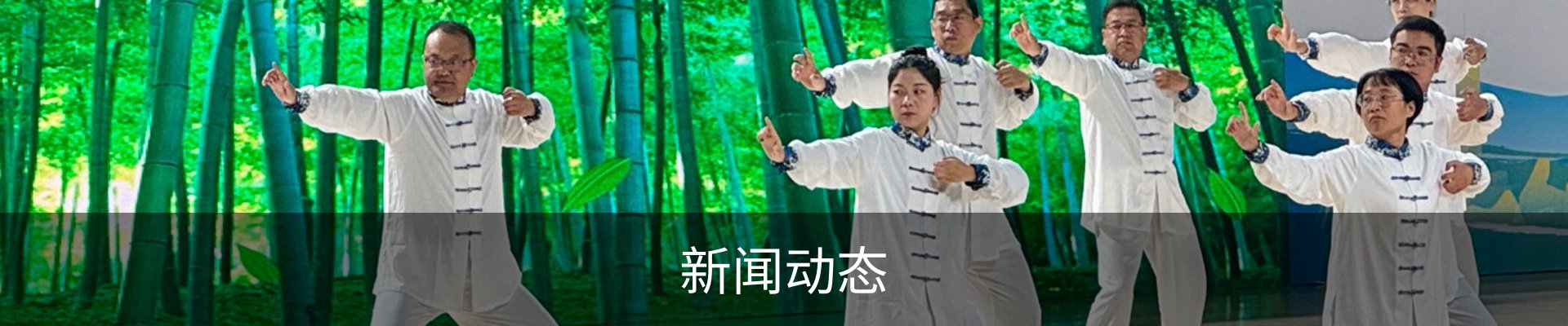新闻动态